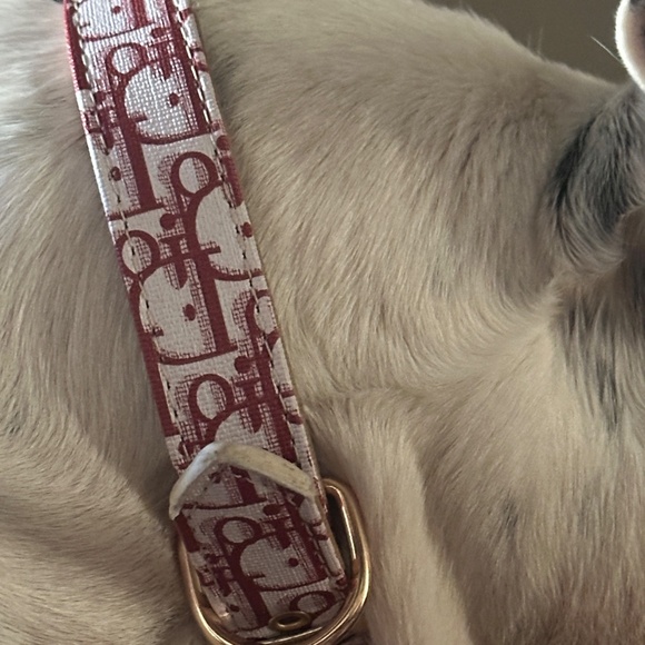 Faux Paux Fashion Dog Collar - Picture 3 of 6